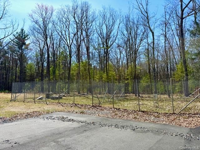 42 Devlin Road, Highland Lake, NY 12743
