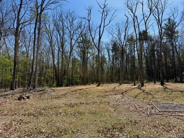 42 Devlin Road, Highland Lake, NY 12743