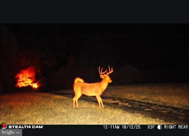 85 GREENHAVEN DR, Elkton, MD 21921