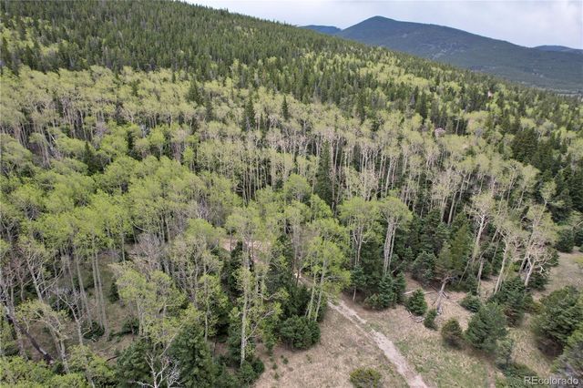 2664 Grojean Drive, Fort Garland, CO 81133