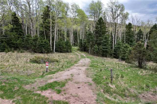 2664 Grojean Drive, Fort Garland, CO 81133