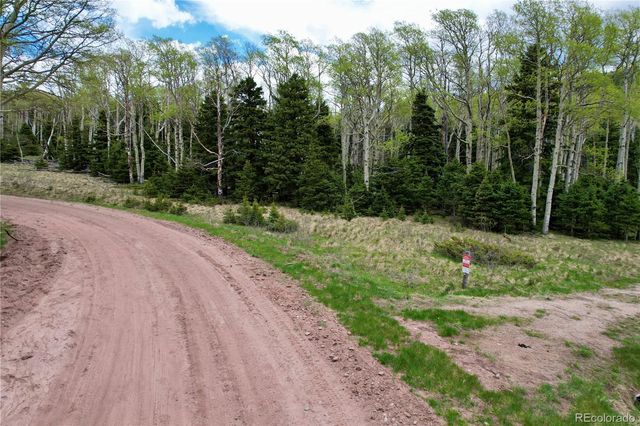 2664 Grojean Drive, Fort Garland, CO 81133