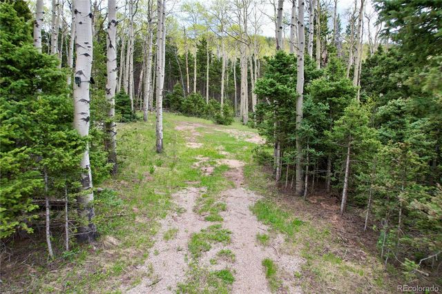 2664 Grojean Drive, Fort Garland, CO 81133