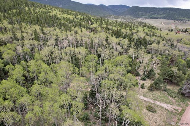 2664 Grojean Drive, Fort Garland, CO 81133