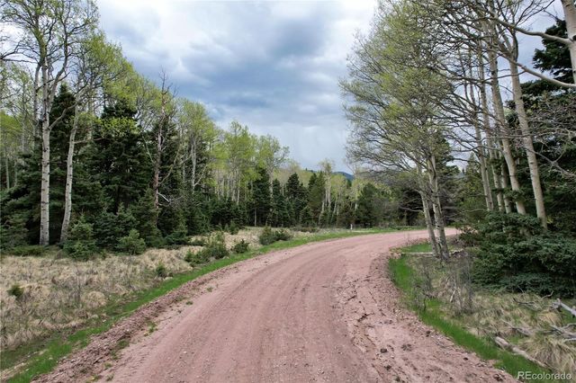 2664 Grojean Drive, Fort Garland, CO 81133