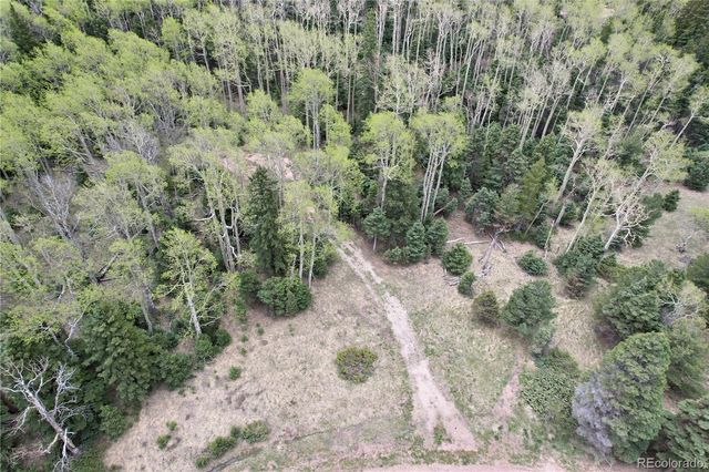 2664 Grojean Drive, Fort Garland, CO 81133