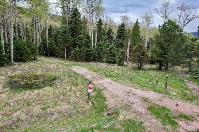 2664 Grojean Drive, Fort Garland, CO 81133