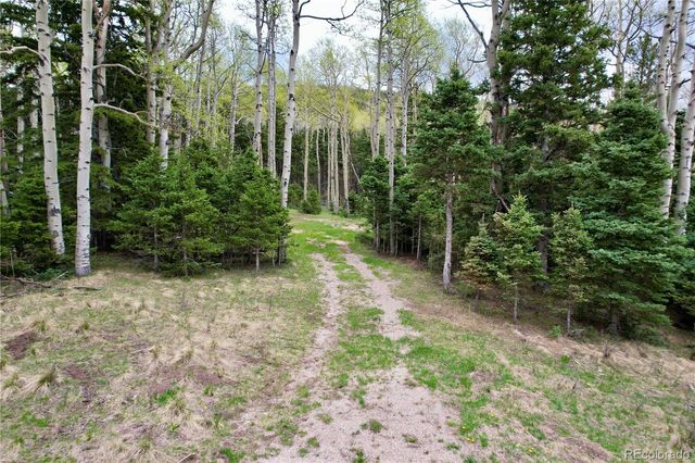 2664 Grojean Drive, Fort Garland, CO 81133