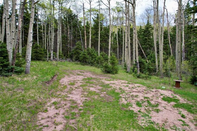 2664 Grojean Drive, Fort Garland, CO 81133