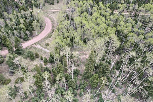 2664 Grojean Drive, Fort Garland, CO 81133