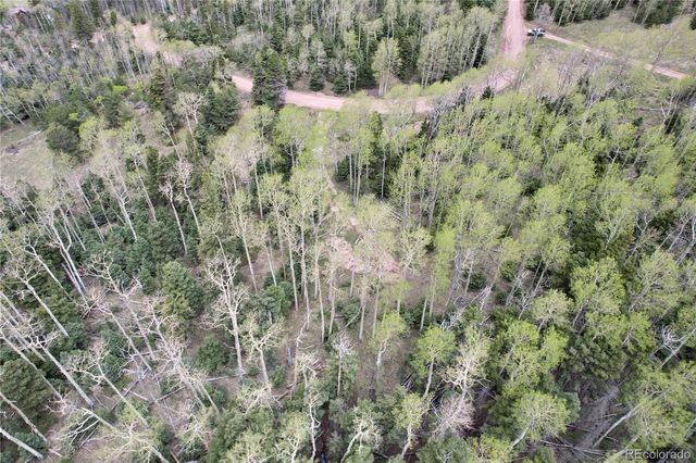 2664 Grojean Drive, Fort Garland, CO 81133