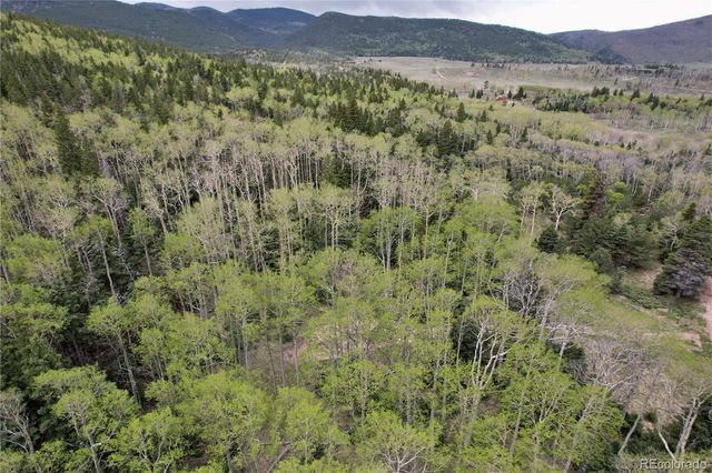 2664 Grojean Drive, Fort Garland, CO 81133