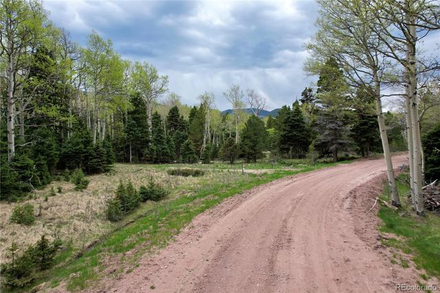 2664 Grojean Drive, Fort Garland, CO 81133