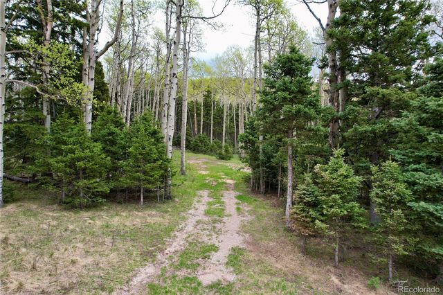 2664 Grojean Drive, Fort Garland, CO 81133