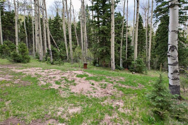 2664 Grojean Drive, Fort Garland, CO 81133