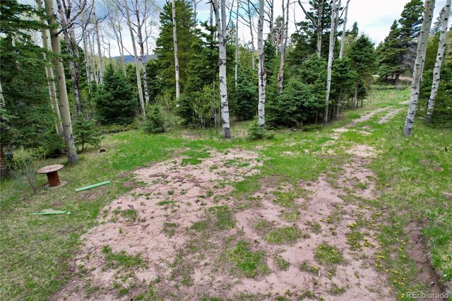 2664 Grojean Drive, Fort Garland, CO 81133