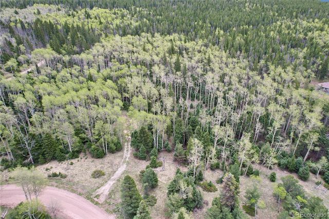 2664 Grojean Drive, Fort Garland, CO 81133