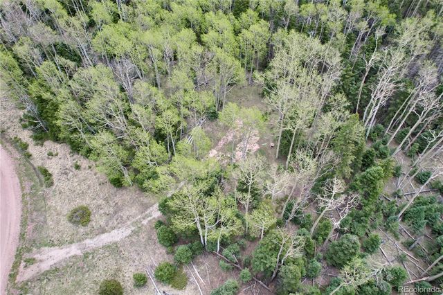 2664 Grojean Drive, Fort Garland, CO 81133