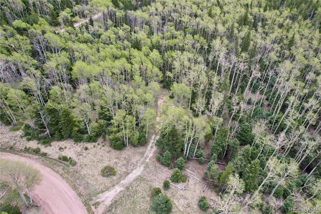 2664 Grojean Drive, Fort Garland, CO 81133