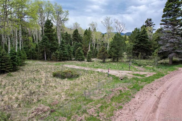 2664 Grojean Drive, Fort Garland, CO 81133