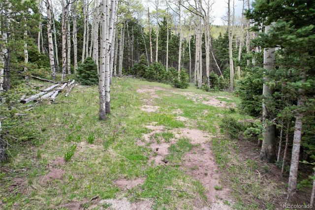 2664 Grojean Drive, Fort Garland, CO 81133