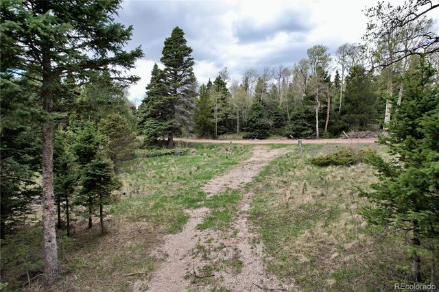 2664 Grojean Drive, Fort Garland, CO 81133