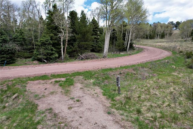 2664 Grojean Drive, Fort Garland, CO 81133