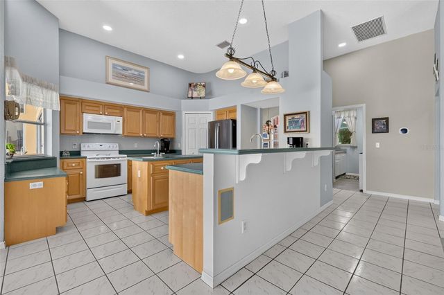 29742 SQUIRREL POINT ROAD, Tavares, FL 32778