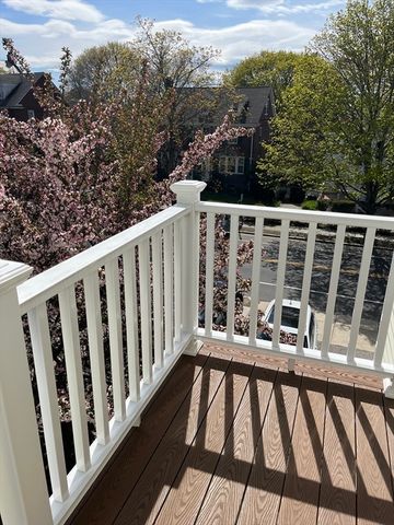 3 Chester Rd 3, Belmont, MA 02478