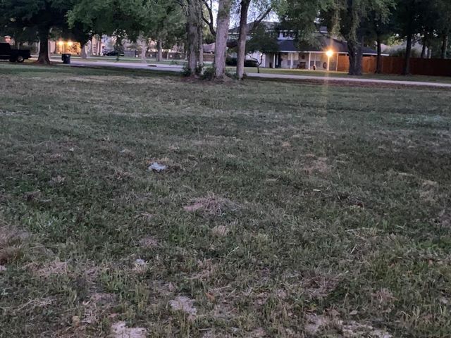 21314 Briar Oak Drive, Humble, TX 77338