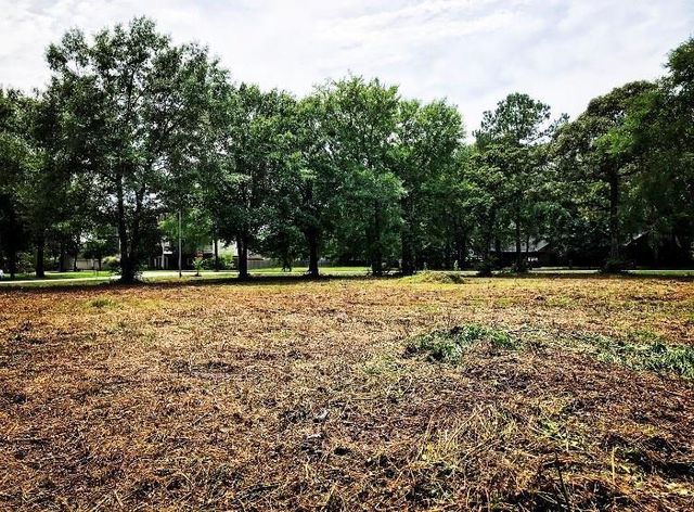 21314 Briar Oak Drive, Humble, TX 77338