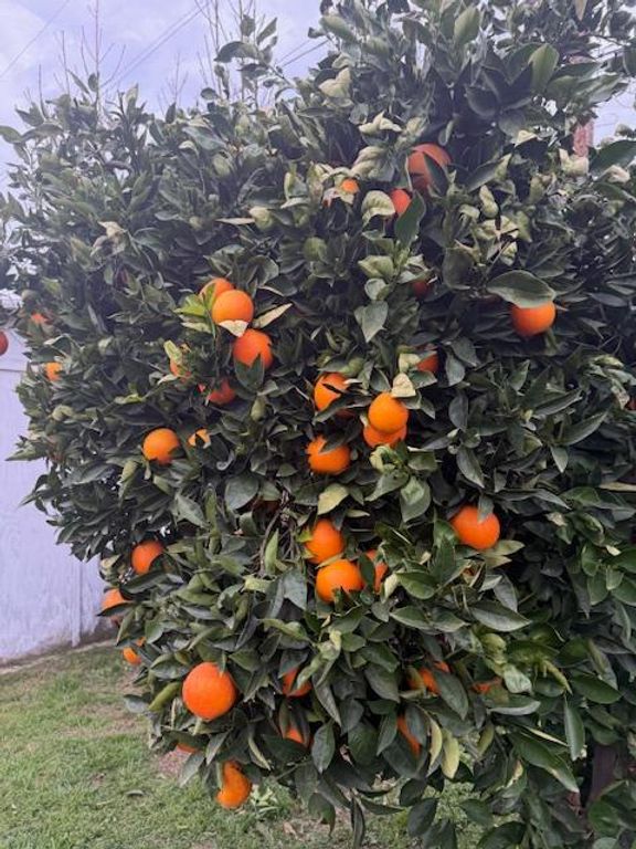 Image 20 of property listing at 3039 E Hedges Avenue, Fresno, CA 93703