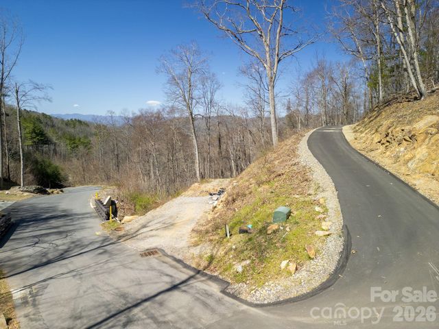 86 Bartrams Walk Drive 14, Asheville, NC 28804