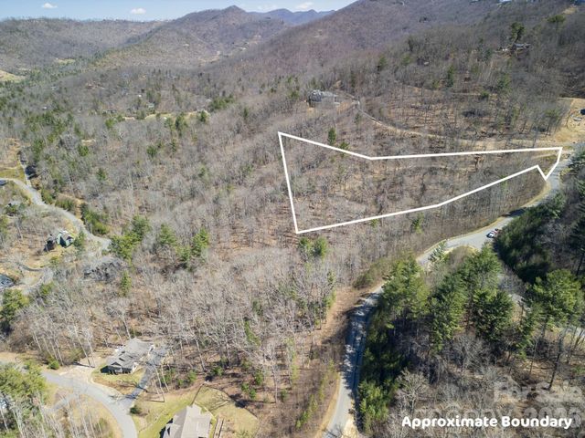 86 Bartrams Walk Drive 14, Asheville, NC 28804