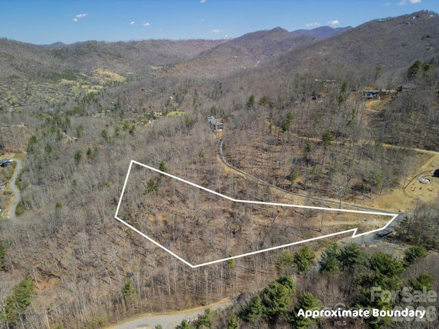 86 Bartrams Walk Drive 14, Asheville, NC 28804