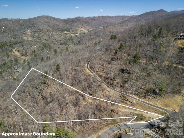 86 Bartrams Walk Drive 14, Asheville, NC 28804