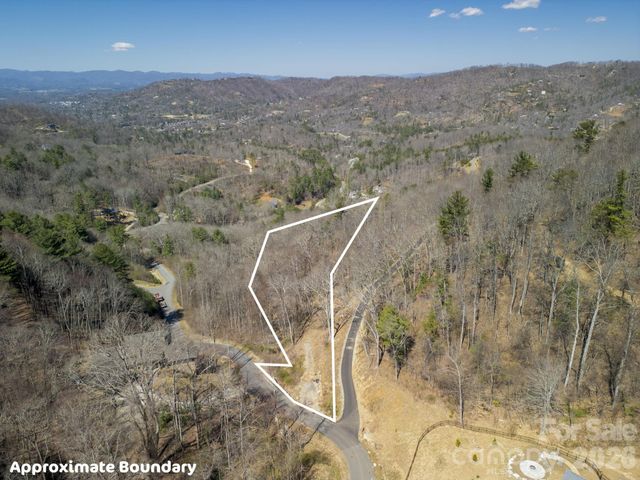 86 Bartrams Walk Drive 14, Asheville, NC 28804