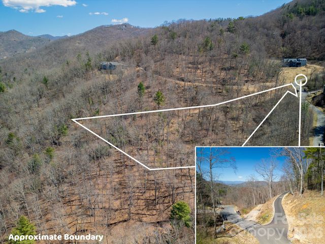 86 Bartrams Walk Drive 14, Asheville, NC 28804