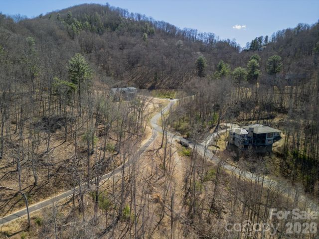 86 Bartrams Walk Drive 14, Asheville, NC 28804