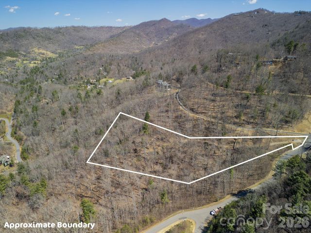 86 Bartrams Walk Drive 14, Asheville, NC 28804