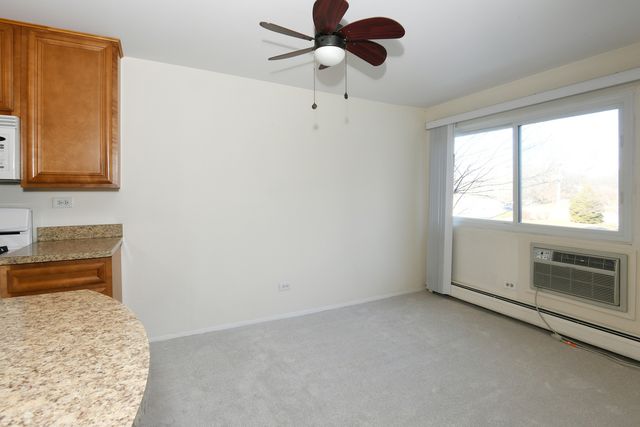 1205 E hintz Road 208, Arlington Heights, IL 60004