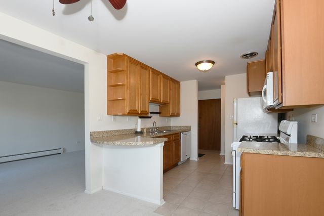 1205 E hintz Road 208, Arlington Heights, IL 60004