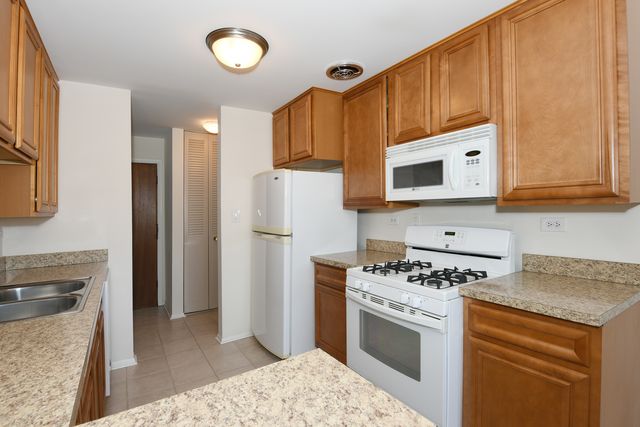 1205 E hintz Road 208, Arlington Heights, IL 60004