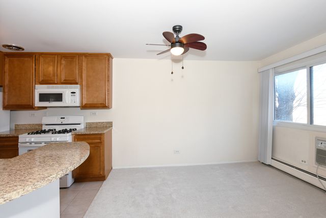 1205 E hintz Road 208, Arlington Heights, IL 60004