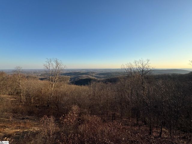 118 Blue Teal Way, Landrum, SC 29356