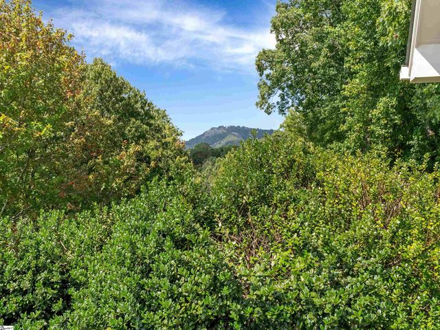 118 Blue Teal Way, Landrum, SC 29356