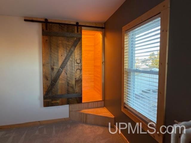 118 S Fifth Street, Crystal Falls, MI 49920