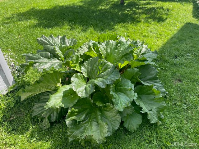 118 S Fifth Street, Crystal Falls, MI 49920