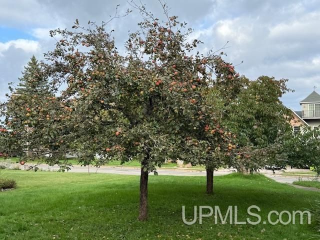 118 S Fifth Street, Crystal Falls, MI 49920