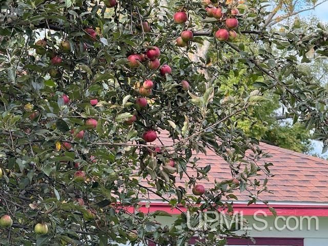 118 S Fifth Street, Crystal Falls, MI 49920